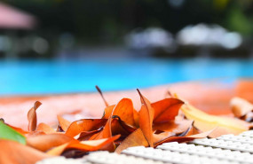 1571738880 swimming pool 24614221280 1571738880 swimming pool 24614221280