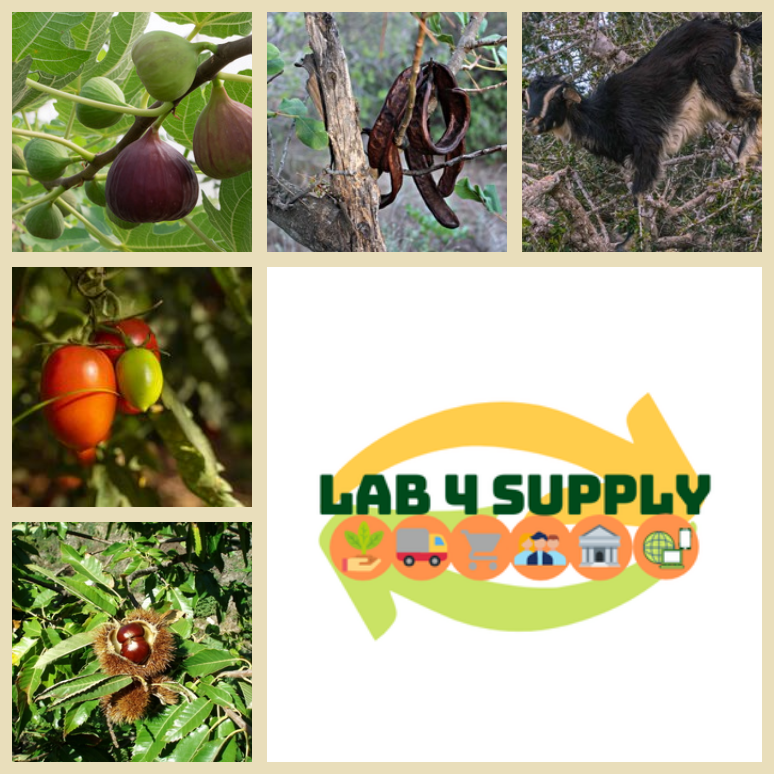 1649267080 lab4supply