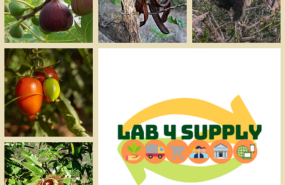 1649267080 lab4supply