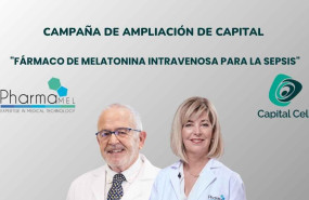 copia de copia de ppt capital cell copia de copia de ppt capital cell