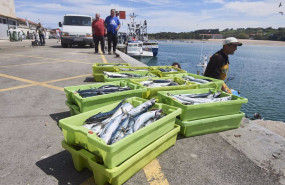 ep archivo cajas de pescado en el puerto de san vicente de la barquera a 25 de abril de 2023 en ep archivo cajas de pescado en el puerto de san vicente de la barquera a 25 de abril de 2023 en