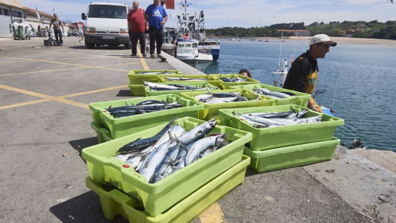 ep archivo cajas de pescado en el puerto de san vicente de la barquera a 25 de abril de 2023 en ep archivo cajas de pescado en el puerto de san vicente de la barquera a 25 de abril de 2023 en