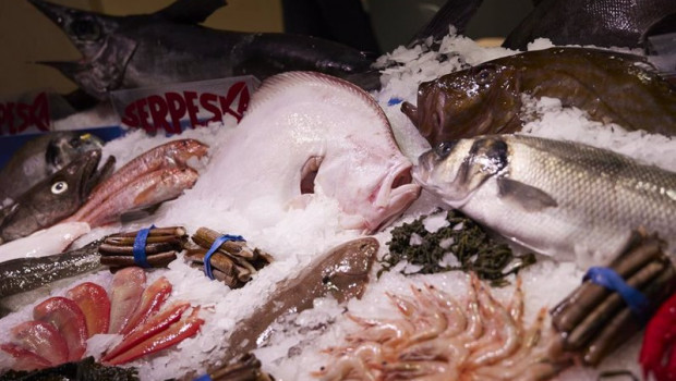 ep archivo   varias muestras de pescados en la xxxiv edicion del salon gourmets en ifema