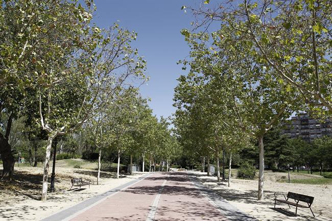 Buen tiempo. Sol. Altas temperaturas. Parque. | EUROPA PRESS ep buen tiempo sol altas temperaturas parque