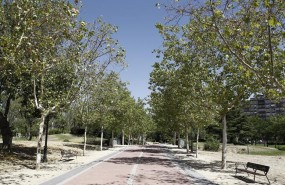 ep buen tiempo sol altas temperaturas parque
