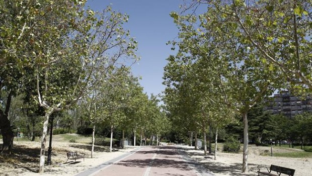 ep buen tiempo sol altas temperaturas parque