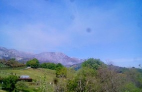ep incendio forestalparaes pilona