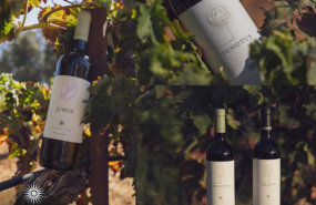 krape 1200 x 628 px 1 krape 1200 x 628 px 1