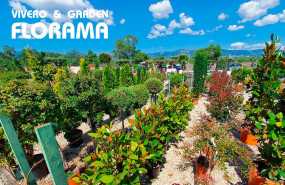 viveros florama europa press viveros florama europa press