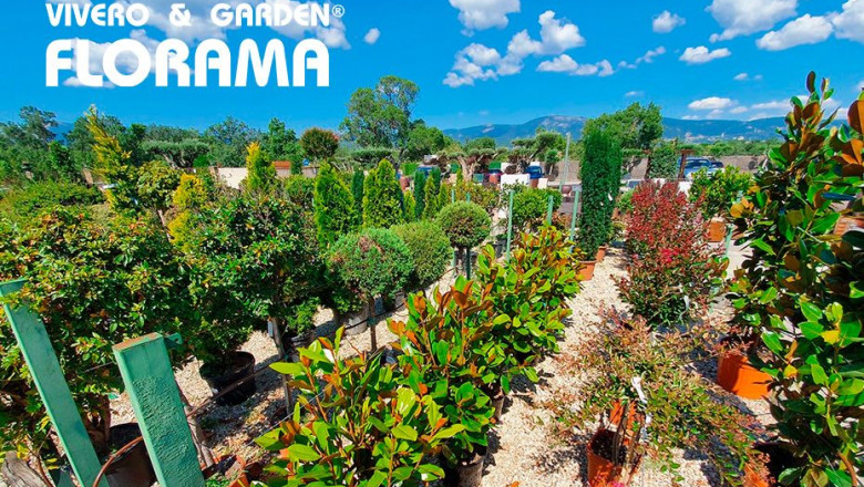 viveros florama europa press