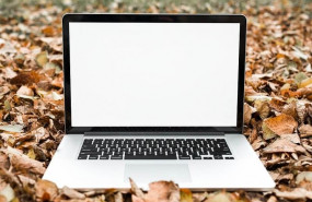 1575292043 del clic al campo emprendedor online