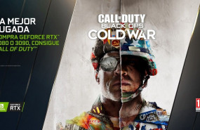 1604068132 3010nvidia