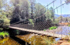 captura de pantalla 2024 03 21 a les 163109 captura de pantalla 2024 03 21 a les 163109