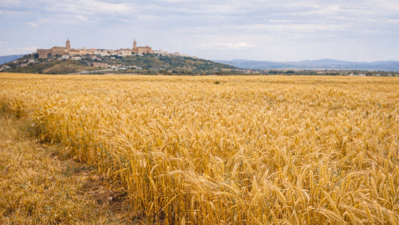 chatgpt image 22 ene 2026 12 26 23 