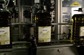 ep aceite dcoop