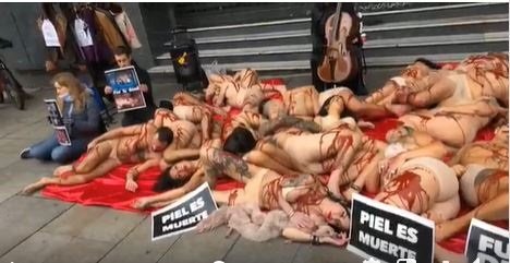 ep activistas hacen una performance en callao contra la industria peletera simulando ser animales ep activistas hacen una performance en callao contra la industria peletera simulando ser animales