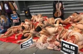 ep activistas hacen una performance en callao contra la industria peletera simulando ser animales