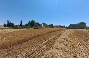 ep archivo   asaja valladolid exige que se cumpla la ley de la cadena alimentaria con el cereal