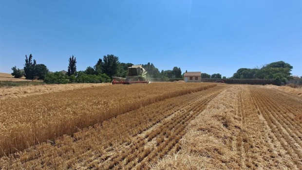 ep archivo   asaja valladolid exige que se cumpla la ley de la cadena alimentaria con el cereal
