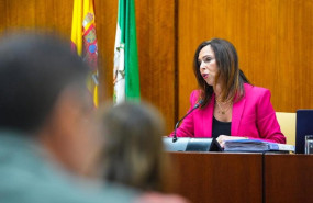 ep archivo la consejera de fomento articulacion del territorio y vivienda rocio diaz en una ep archivo la consejera de fomento articulacion del territorio y vivienda rocio diaz en una