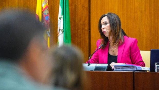 ep archivo   la consejera de fomento articulacion del territorio y vivienda rocio diaz en una