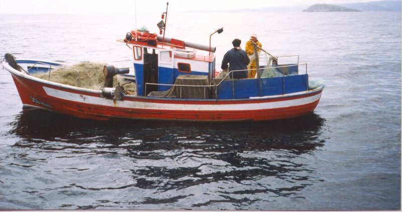 ep archivo pesca artesanal de pulpo ep archivo pesca artesanal de pulpo