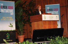 ep la ministra isabel garcia tejerina participala cumbreclimabonn