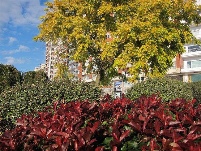 Otoño en Santander | EUROPA PRESS ep otonosantander