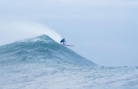 ep vaca gigante ola surf surfero