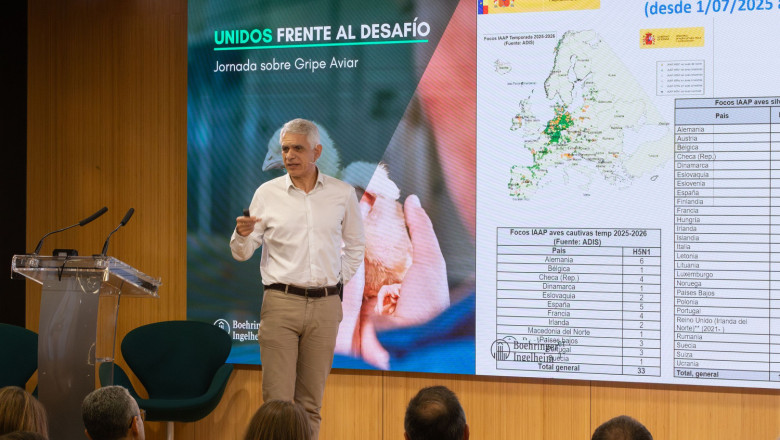 foto 2 20251210170638 