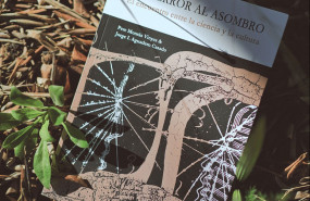 1631700916 foto publicar hoy1 