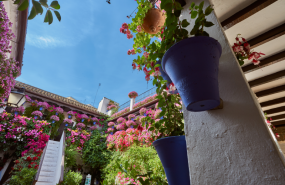 1631776110 shutterstock1359953165