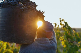 ep archivo   vina de rioja