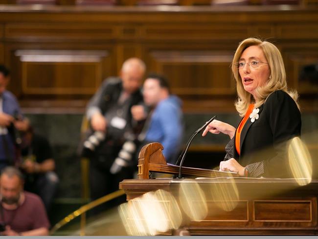 ep carmen duenas diputadapp