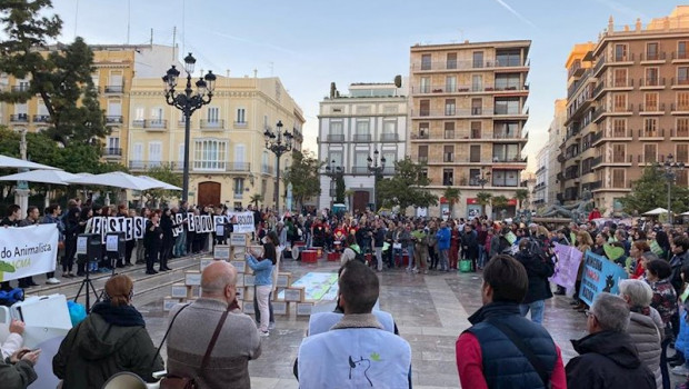 ep concentracion de pacma en valncia