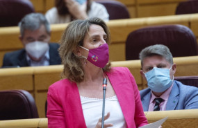 ep la vicepresidenta cuarta y ministra para la transicion ecologica y el reto demografico teresa 20210526113418
