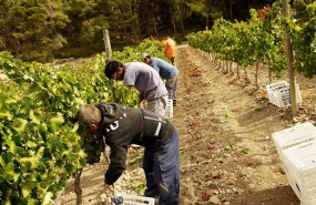 ep lempresa lolivera escooperativa dintegracio laboral que incorpora perso