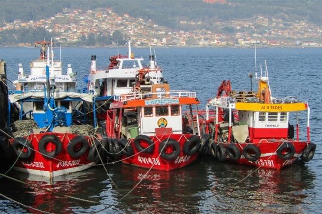 Pesqueros en el Puerto de Vigo | ARVI ep pesquerospuertovigo