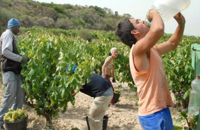 ep trabajadores del campo