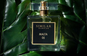 unnamed 20230201155215