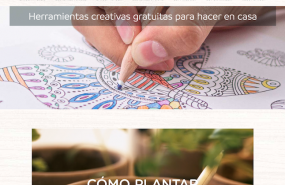 1586336219 captura de pantalla 2020 04 08 a las 105801