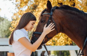 bifeedoo agosto 1 bifeedoo agosto 1