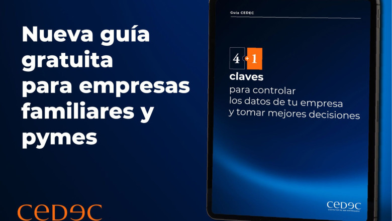 cedec guia empresas 41 20250701181802 