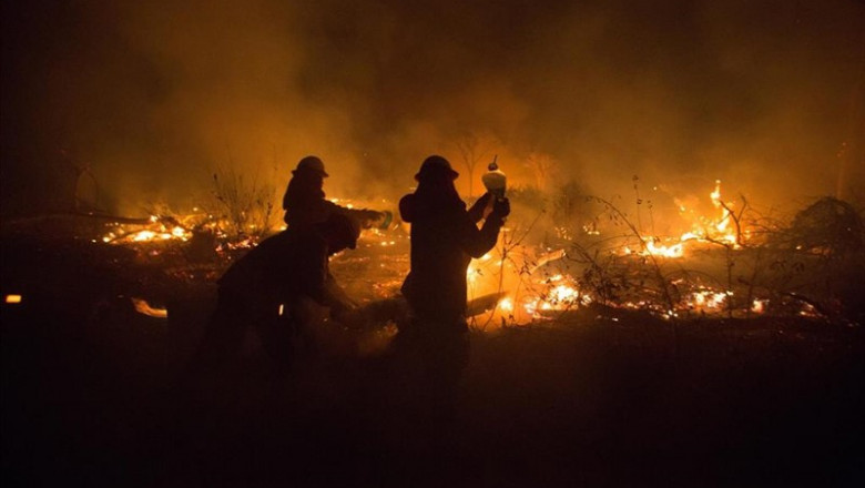 28 August 2019, Bolivia, Santa Rosa de Tucabaca: Firefighters extinguish fires in the Chiquitania Forest in Santa Rosa de Tucabaca with water from a plastic canister. The emergency forces in eastern Bolivia continue to contain the devastating Amazon rainf | Gaston Brito/dpa ep 28 august 2019 bolivia santa rosa de tucabaca firefighters extinguish fires in the chiquitania