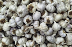 ep archivo   ajo ajos de las pedroneras