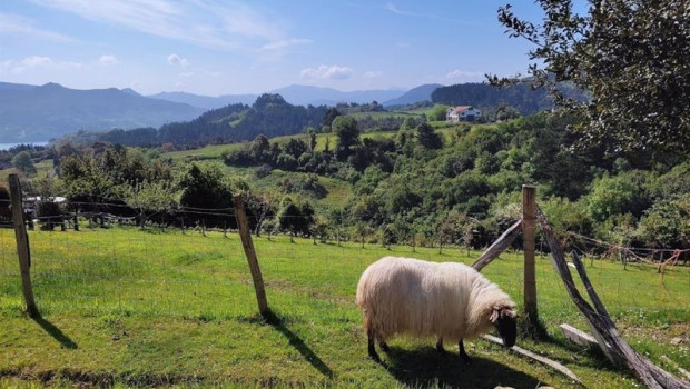 ep archivo   explotacion agraria en mundaka bizkaia