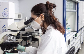 ep archivo un estudio liderado por el instituto de biomedicina de valencia ibv csic identifica las ep archivo un estudio liderado por el instituto de biomedicina de valencia ibv csic identifica las