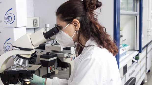 ep archivo un estudio liderado por el instituto de biomedicina de valencia ibv csic identifica las ep archivo un estudio liderado por el instituto de biomedicina de valencia ibv csic identifica las