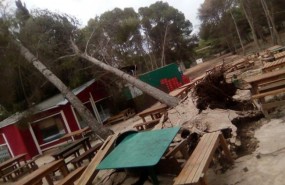 ep caida de arboles temporal borrasca ana