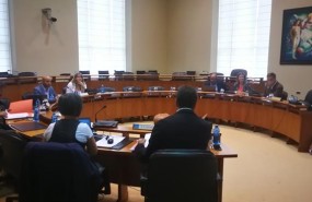 ep comision institucionalparlamentogalicia